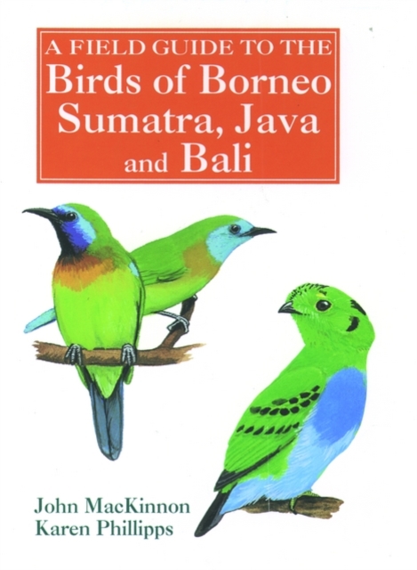 A Field Guide to the Birds of Borneo, Sumatra, Java, and Bali : The Greater Sunda Islands, Paperback Book