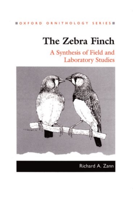 The Zebra Finch : A Synthesis of Field and Laboratory Studies, Hardback Book