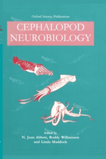 Cephalopod Neurobiology : Neuroscience Studies in Squid, Octopus and Cuttlefish, Hardback Book