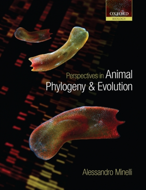 Perspectives in Animal Phylogeny and Evolution, Hardback Book