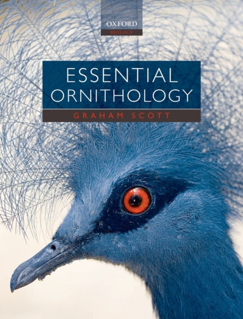 Essential Ornithology, Paperback / softback Book