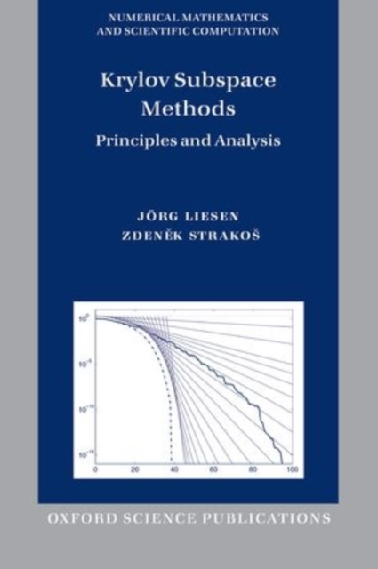 Krylov Subspace Methods : Principles and Analysis, Paperback / softback Book