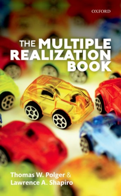 The Multiple Realization Book, Paperback / softback Book