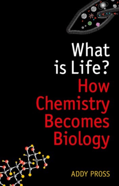 What is Life? : How Chemistry Becomes Biology, Paperback / softback Book