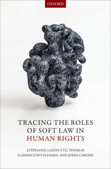 Tracing the Roles of Soft Law in Human Rights, Hardback Book