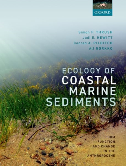 Ecology of Coastal Marine Sediments : Form, Function, and Change in the Anthropocene, Hardback Book