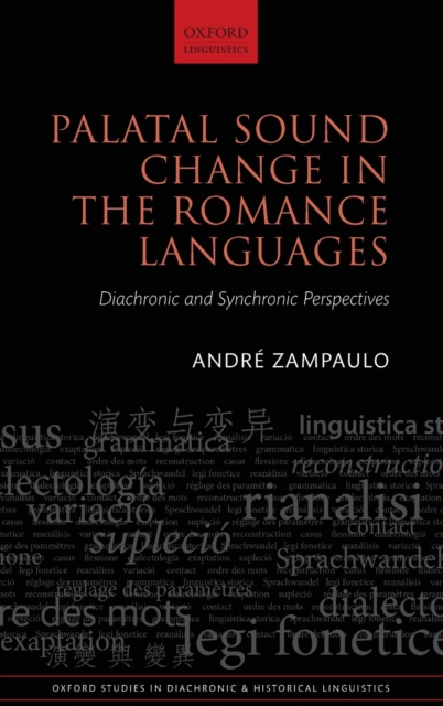 Palatal Sound Change in the Romance Languages : Diachronic and Synchronic Perspectives, Hardback Book