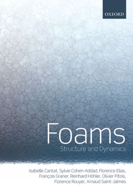 Foams : Structure and Dynamics, Paperback / softback Book