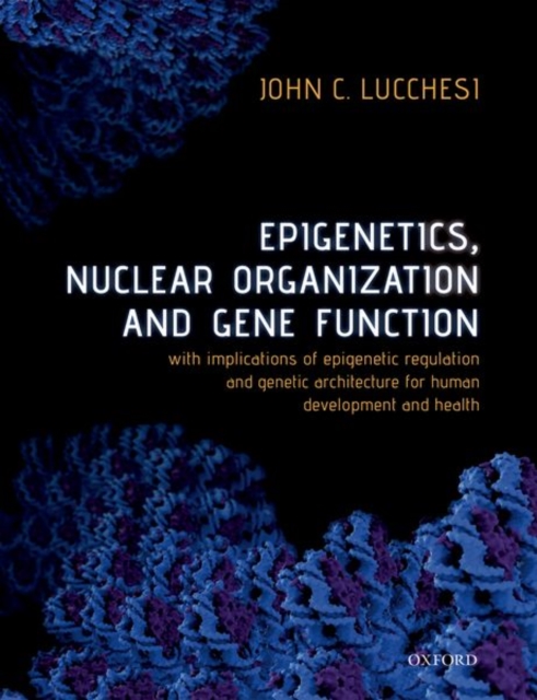 Epigenetics, Nuclear Organization & Gene Function : With implications of epigenetic regulation and genetic architecture for human development and health, Hardback Book