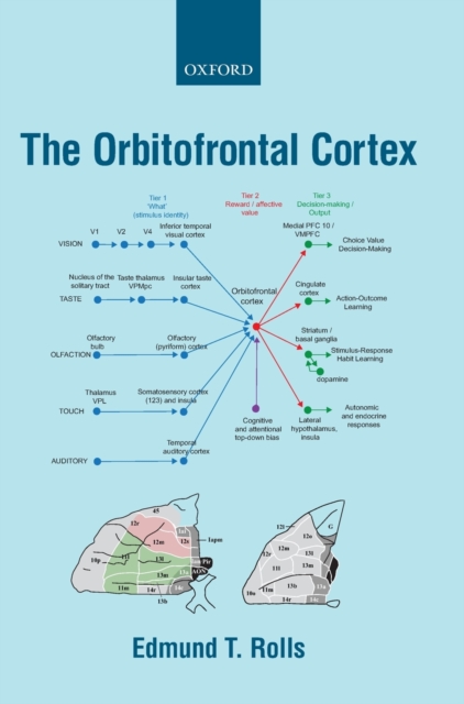 The Orbitofrontal Cortex, Hardback Book