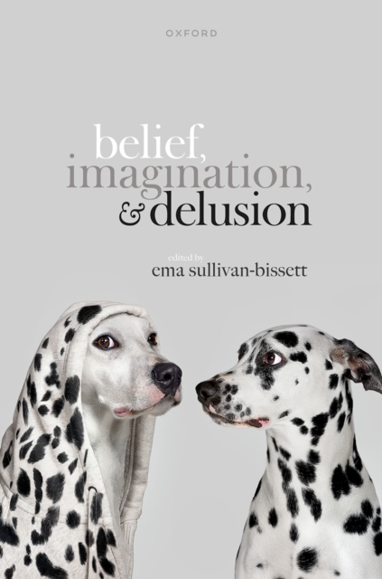 Belief, Imagination, and Delusion, PDF eBook
