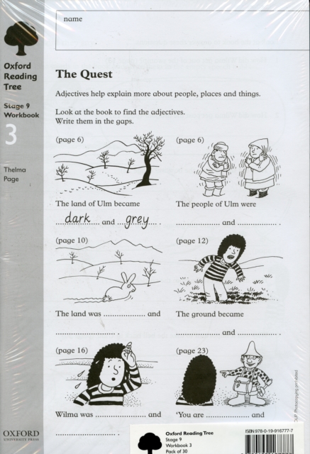 Oxford Reading Tree: Level 9: Workbooks: Workbook 3: The Quest and Survival Adventure (Pack of 30), Paperback / softback Book