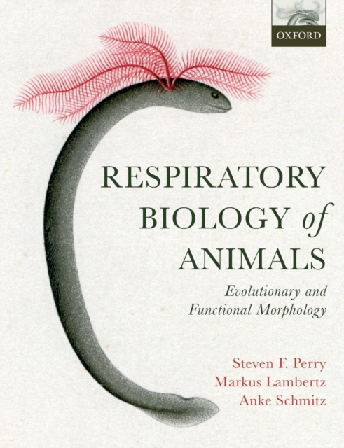 Respiratory Biology of Animals : evolutionary and functional morphology, Paperback / softback Book