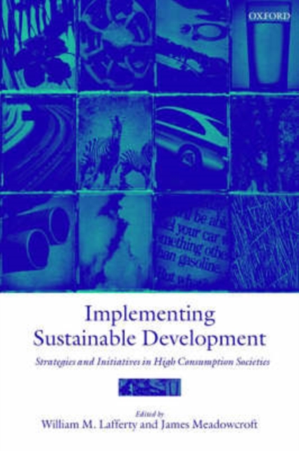 Implementing Sustainable Development : Strategies and Initiatives in High Consumption Societies, Paperback / softback Book
