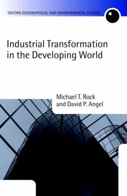 Industrial Transformation in the Developing World, Hardback Book