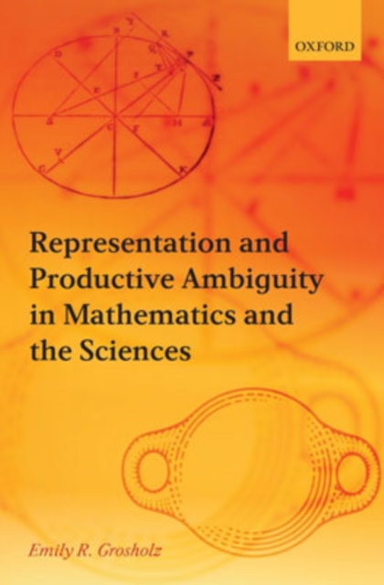 Representation and Productive Ambiguity in Mathematics and the Sciences, Hardback Book