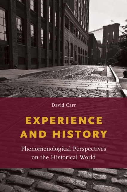 Experience and History : Phenomenological Perspectives on the Historical World, PDF eBook