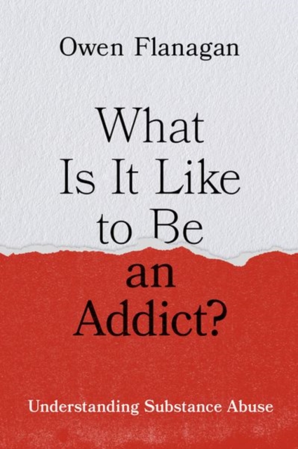 What Is It Like to Be an Addict? : Understanding Substance Abuse, Hardback Book
