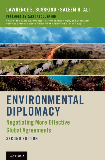 Environmental Diplomacy : Negotiating More Effective Global Agreements, PDF eBook