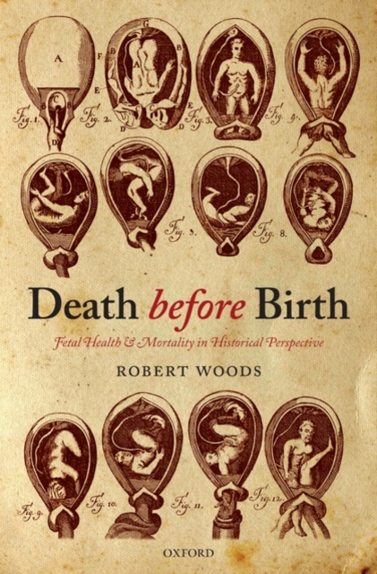 Death before Birth : Fetal Health and Mortality in Historical Perspective, Hardback Book