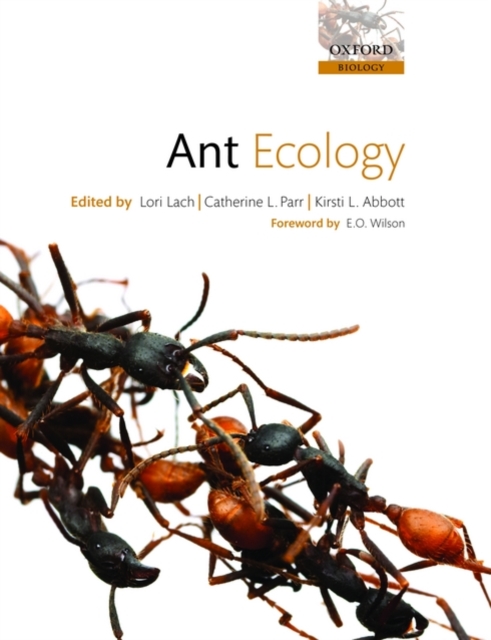 Ant Ecology, Paperback / softback Book