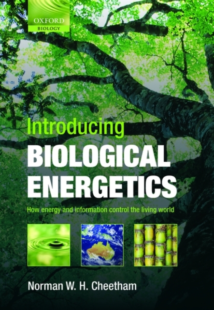 Introducing Biological Energetics : How Energy and Information Control the Living World, Hardback Book