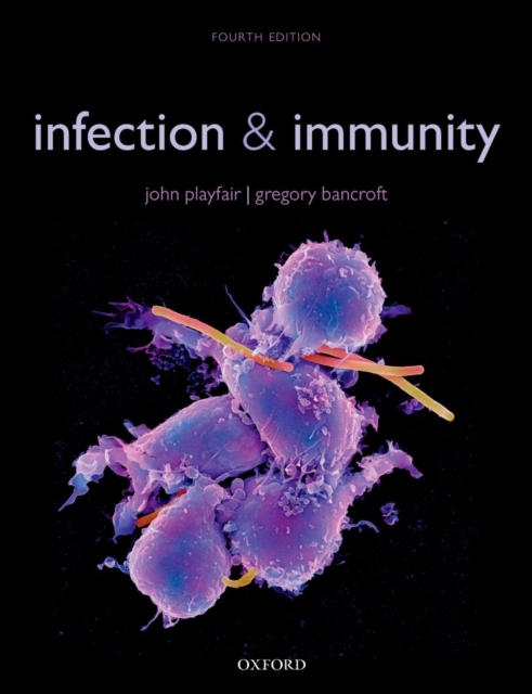 Infection & Immunity, Paperback / softback Book