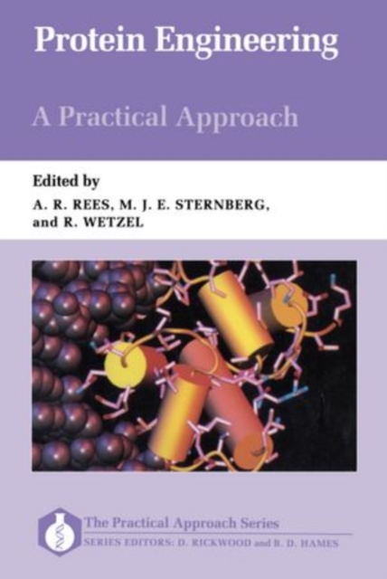 Protein Engineering: A Practical Approach, Paperback / softback Book