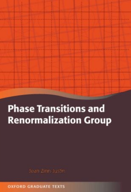 Phase Transitions and Renormalization Group, Paperback / softback Book