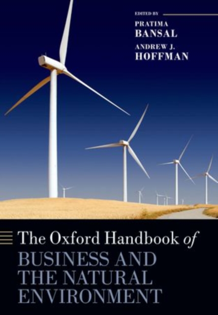 The Oxford Handbook of Business and the Natural Environment, Paperback / softback Book
