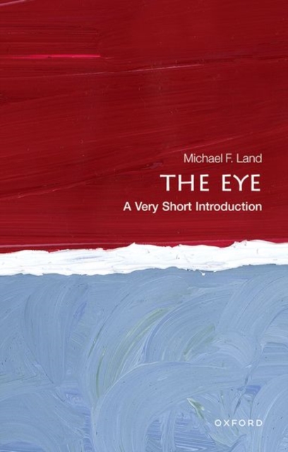 The Eye: A Very Short Introduction, Paperback / softback Book