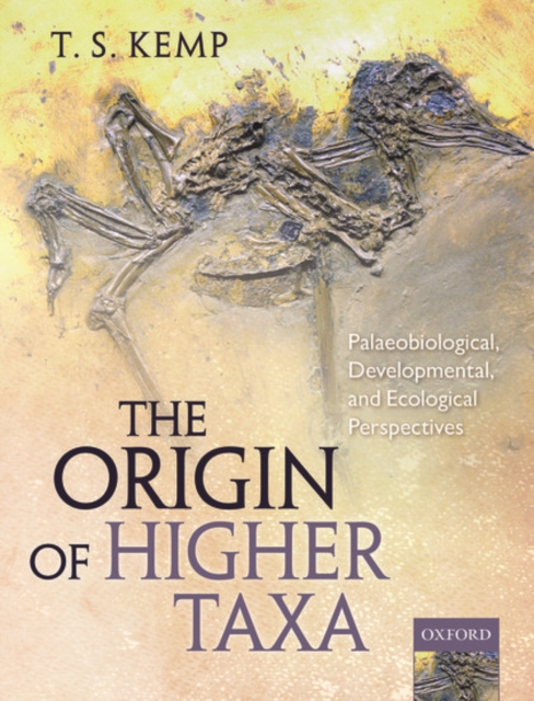 The Origin of Higher Taxa : Palaeobiological, developmental, and ecological perspectives, Paperback / softback Book