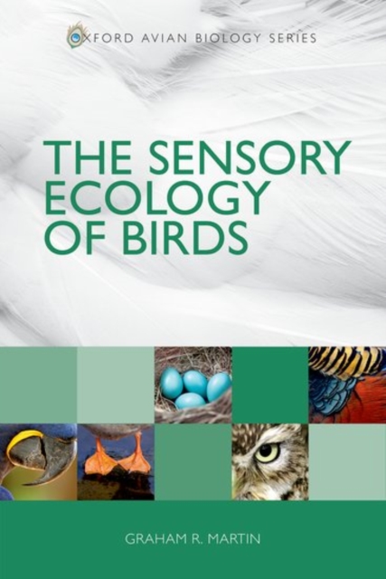 The Sensory Ecology of Birds, Paperback / softback Book