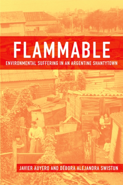 Flammable : Environmental Suffering in an Argentine Shantytown, PDF eBook