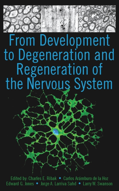 From Development to Degeneration and Regeneration of the Nervous System, PDF eBook