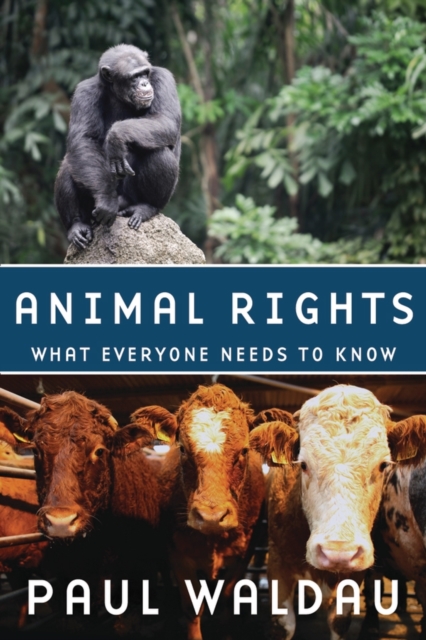 Animal Rights : What Everyone Needs to Know®, Paperback / softback Book