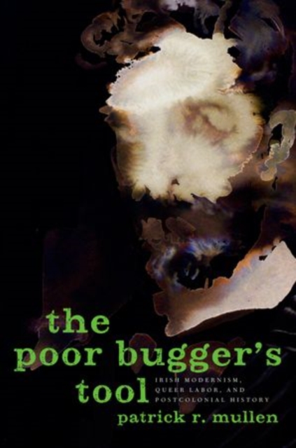 The Poor Bugger's Tool : Irish Modernism, Queer Labor, and Postcolonial History, Hardback Book