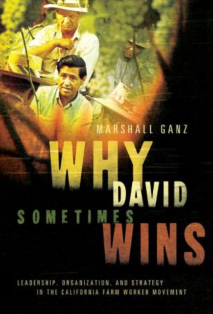 Why David Sometimes Wins : Leadership, Organization, and Strategy in the California Farm Worker Movement, Paperback / softback Book
