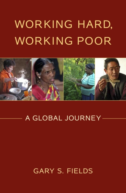 Working Hard, Working Poor : A Global Journey, PDF eBook