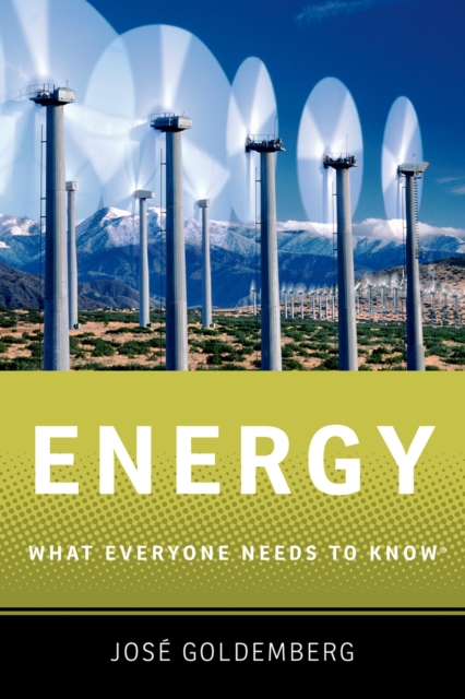 Energy : What Everyone Needs to Know?, PDF eBook