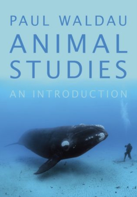 Animal Studies : An Introduction, Paperback / softback Book