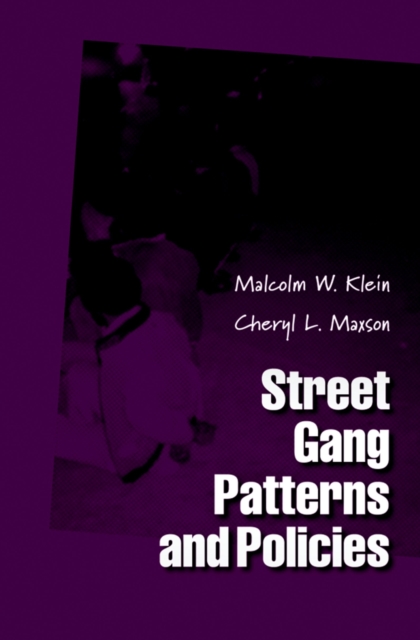 Street Gang Patterns and Policies, EPUB eBook