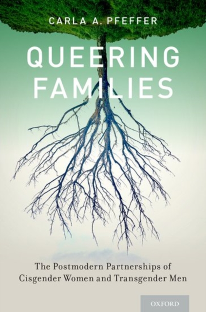 Queering Families : The Postmodern Partnerships of Cisgender Women and Transgender Men, Paperback / softback Book