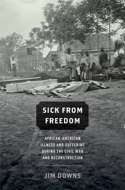 Sick from Freedom : African-American Illness and Suffering during the Civil War and Reconstruction, EPUB eBook