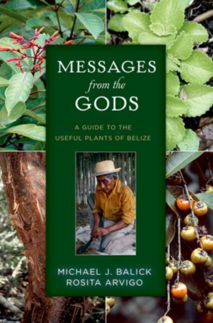 Messages from the Gods : A Guide to the Useful Plants of Belize, Hardback Book