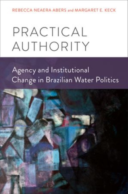 Practical Authority : Agency and Institutional Change in Brazilian Water Politics, Paperback / softback Book