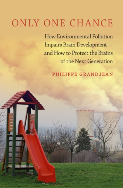 Only One Chance : How Environmental Pollution Impairs Brain Development -- and How to Protect the Brains of the Next Generation, PDF eBook
