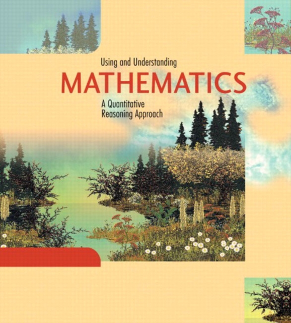 Using and Understanding Maths : A Quantitative Reasoning Approach, Hardback Book