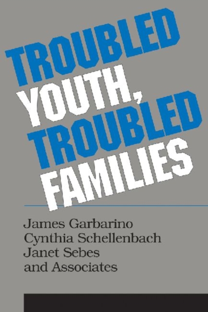Troubled Youth, Troubled Families : Understanding Families at Risk for Adolescent Maltreatment, Paperback / softback Book