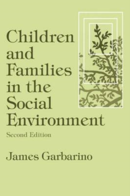 Children and Families in the Social Environment : Modern Applications of Social Work, Paperback / softback Book